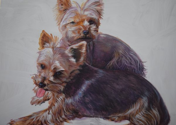 Dog portrait